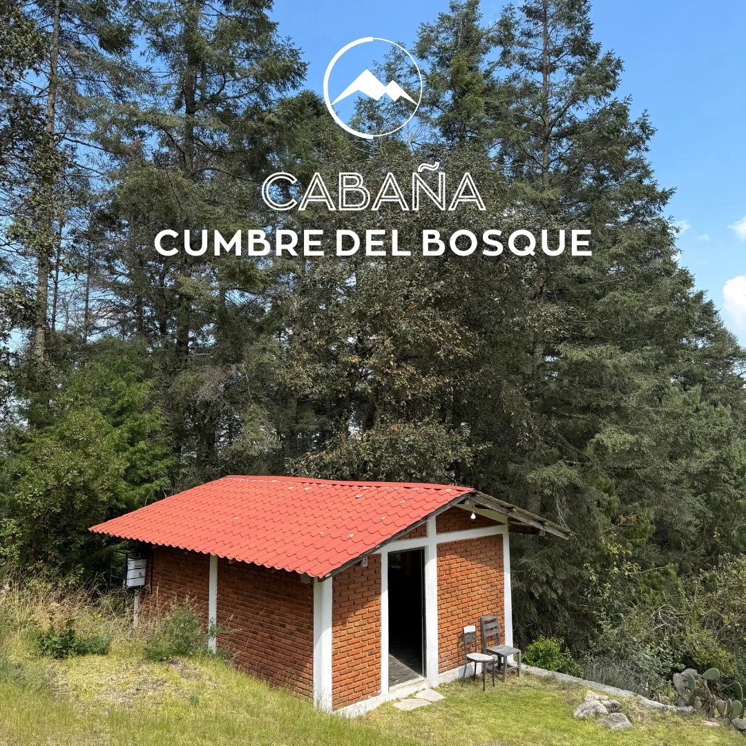 Imagen principal de Cumbre del Bosque
