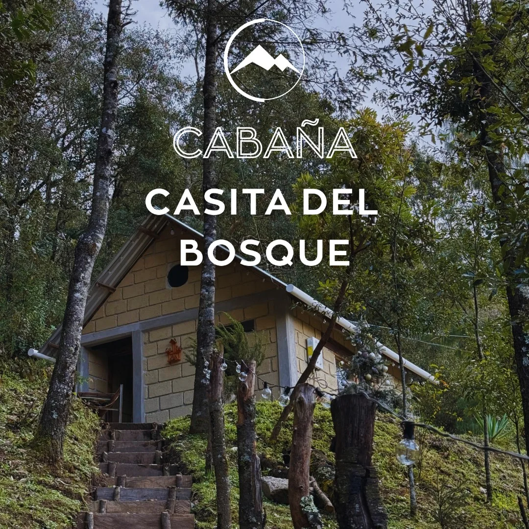 Imagen principal de Casita del bosque 2