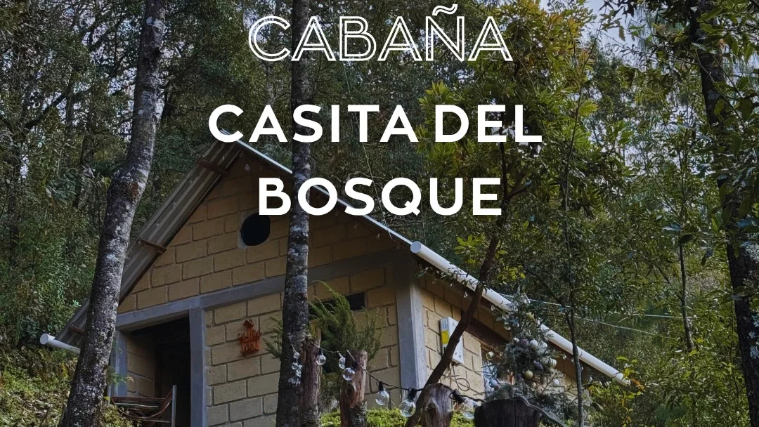 Imagen de Casita del bosque 2