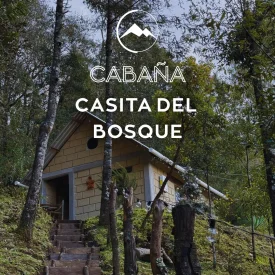 Imagen de Casita del bosque 2