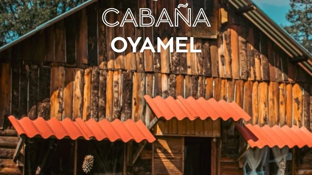 Imagen de Cabaña Oyamel