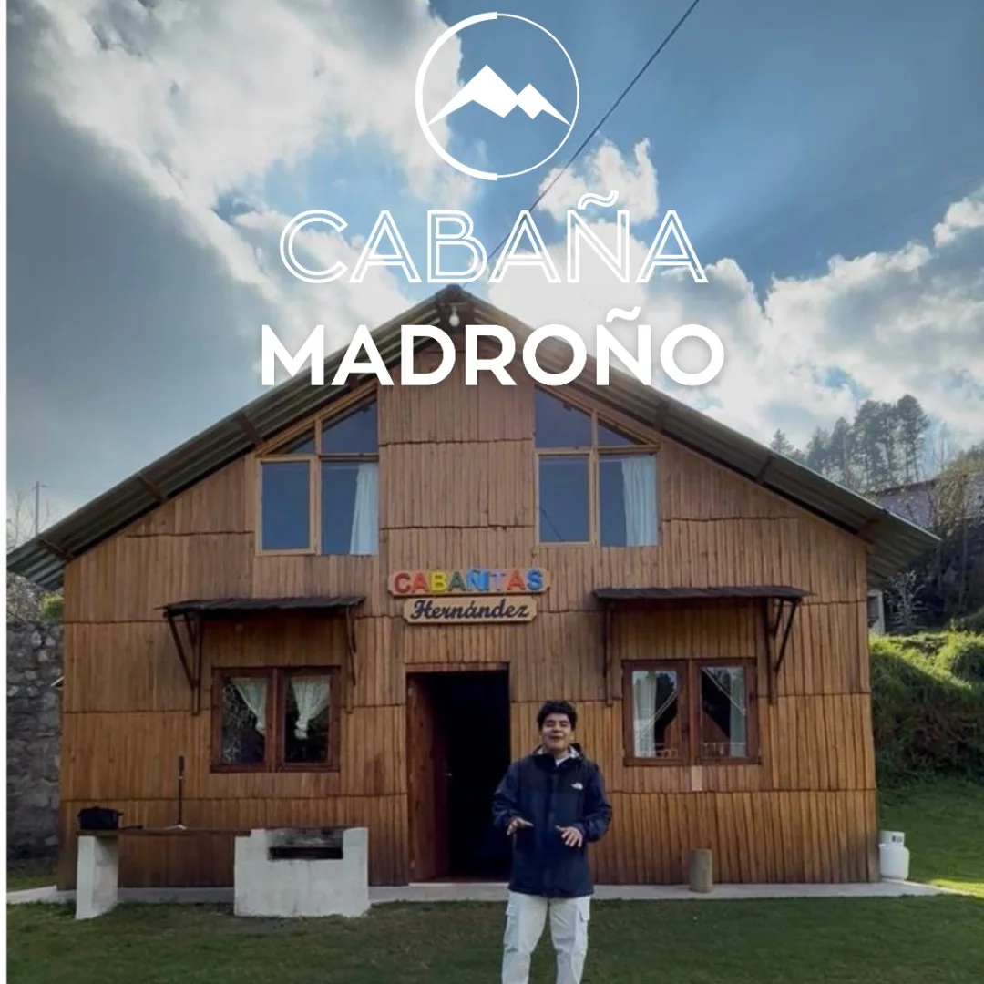 Imagen principal de Cabaña Madroño