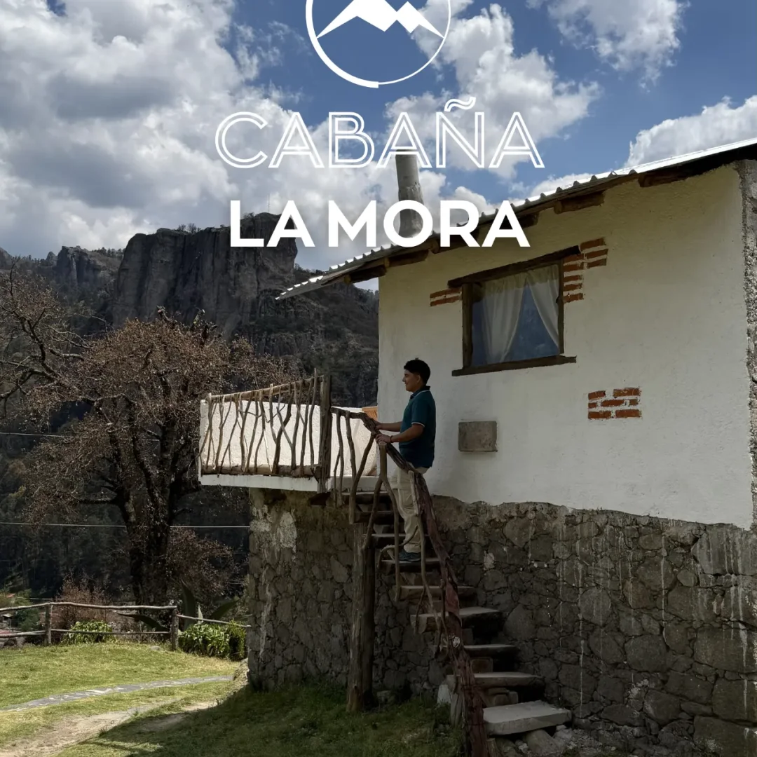 Galería de Cabaña La Mora