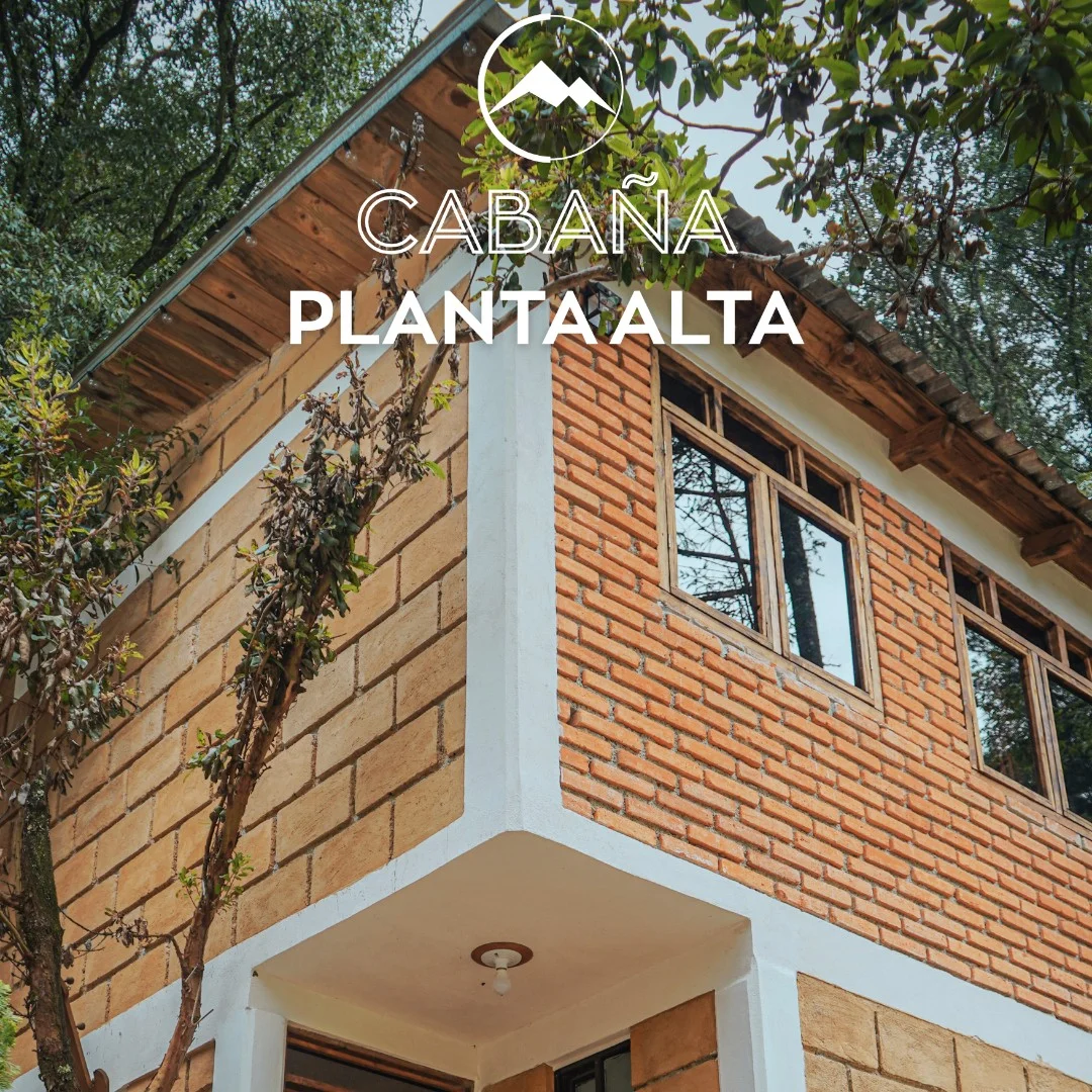 Imagen principal de La Casita Planta Alta 1