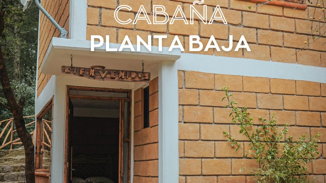 Imagen de La Casita Planta Baja 1