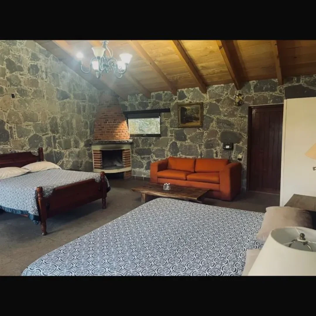 Galería de Jilguero