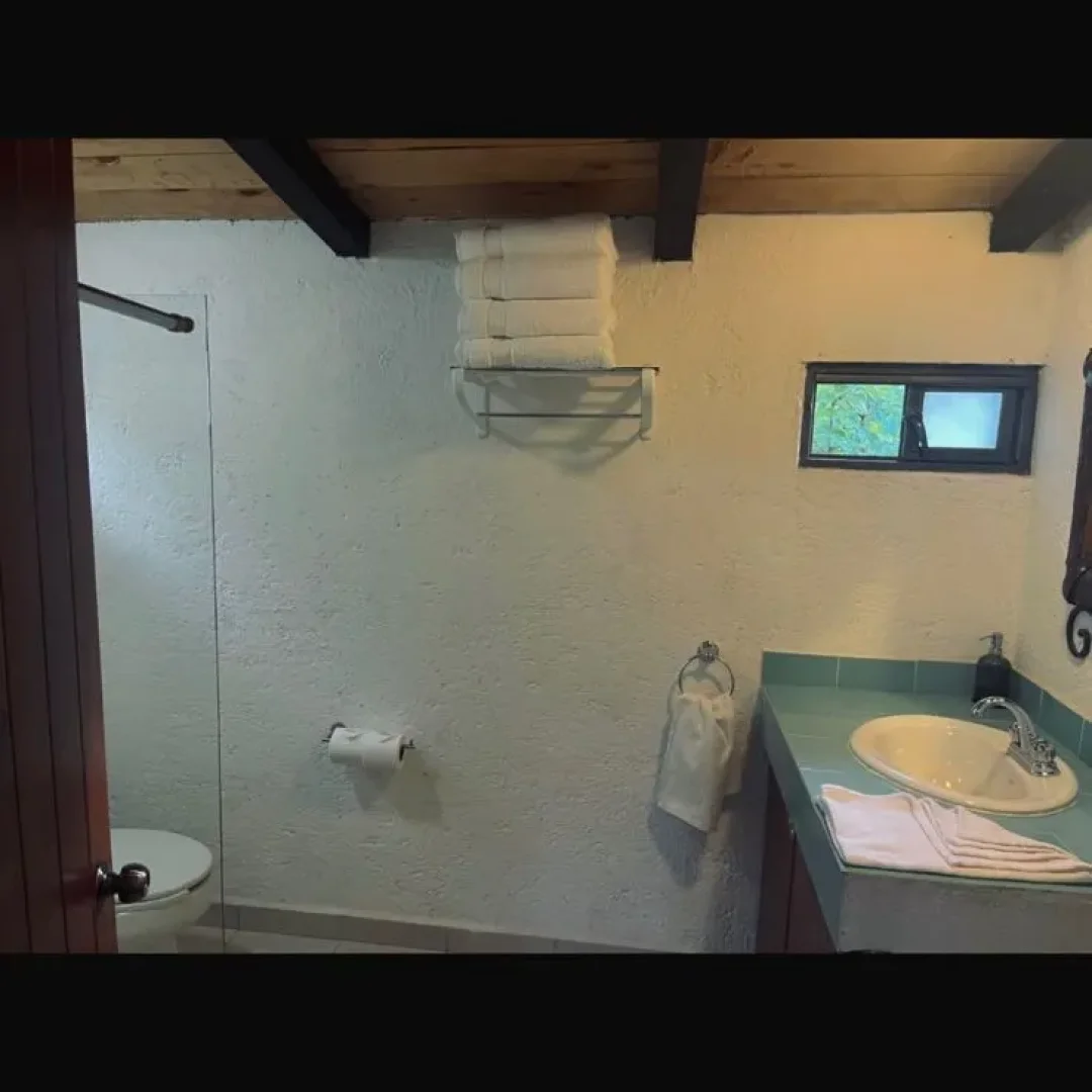 Galería de Jilguero