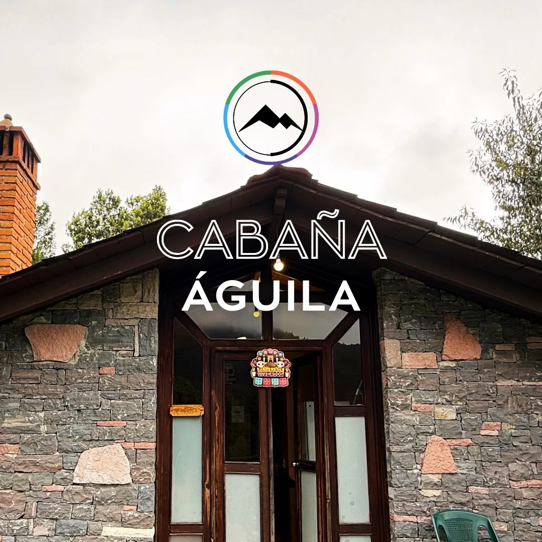 Imagen principal de Aguila