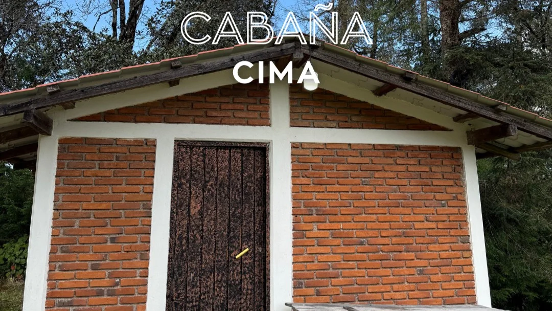 Imagen de Cima