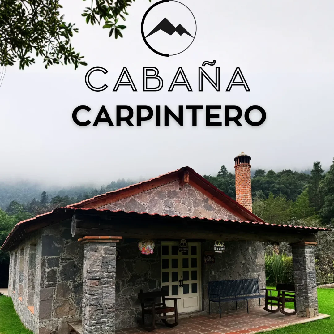 Imagen principal de Carpintero