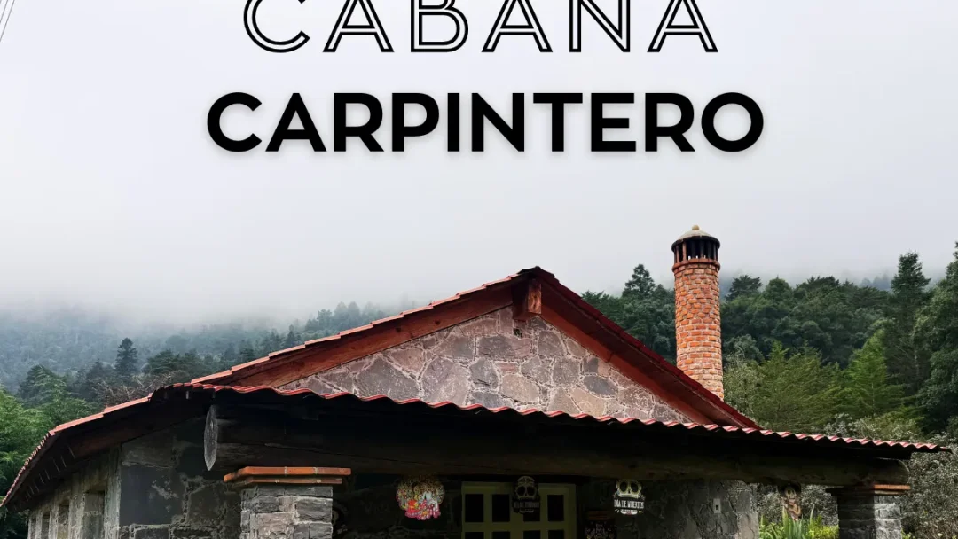 Imagen de Carpintero