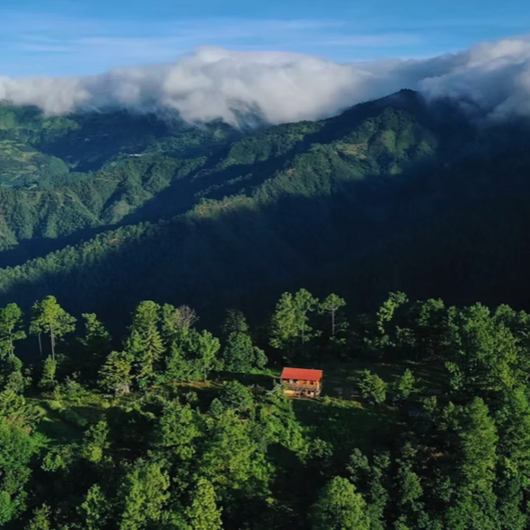 Galería de Experiencia 1