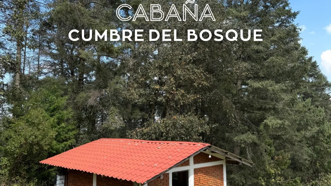 Imagen de Cumbre del Bosque