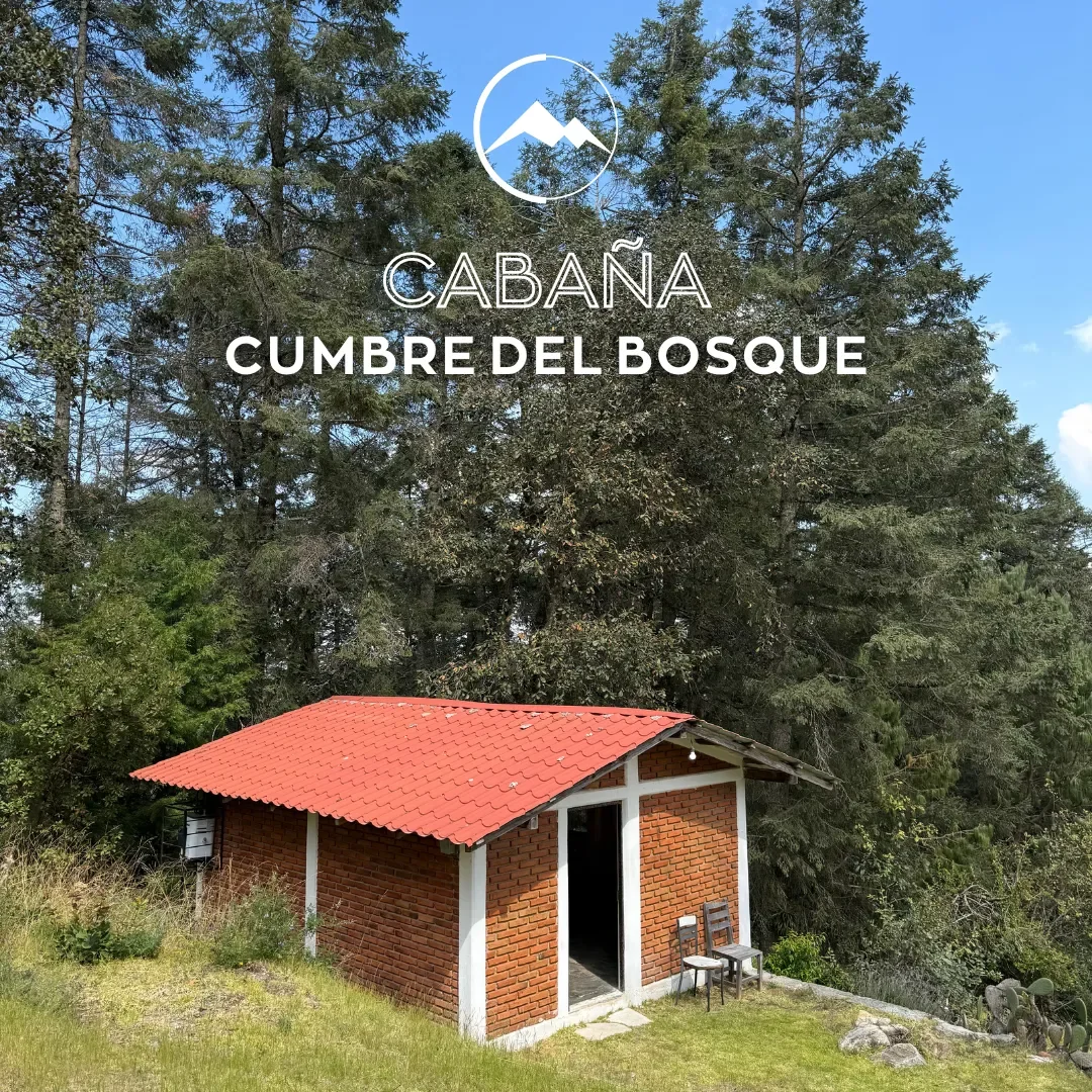 Galería de Cumbre del Bosque